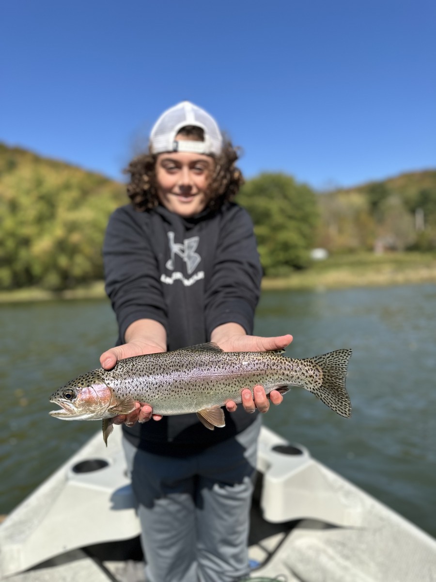 upper delaware river trout fishing