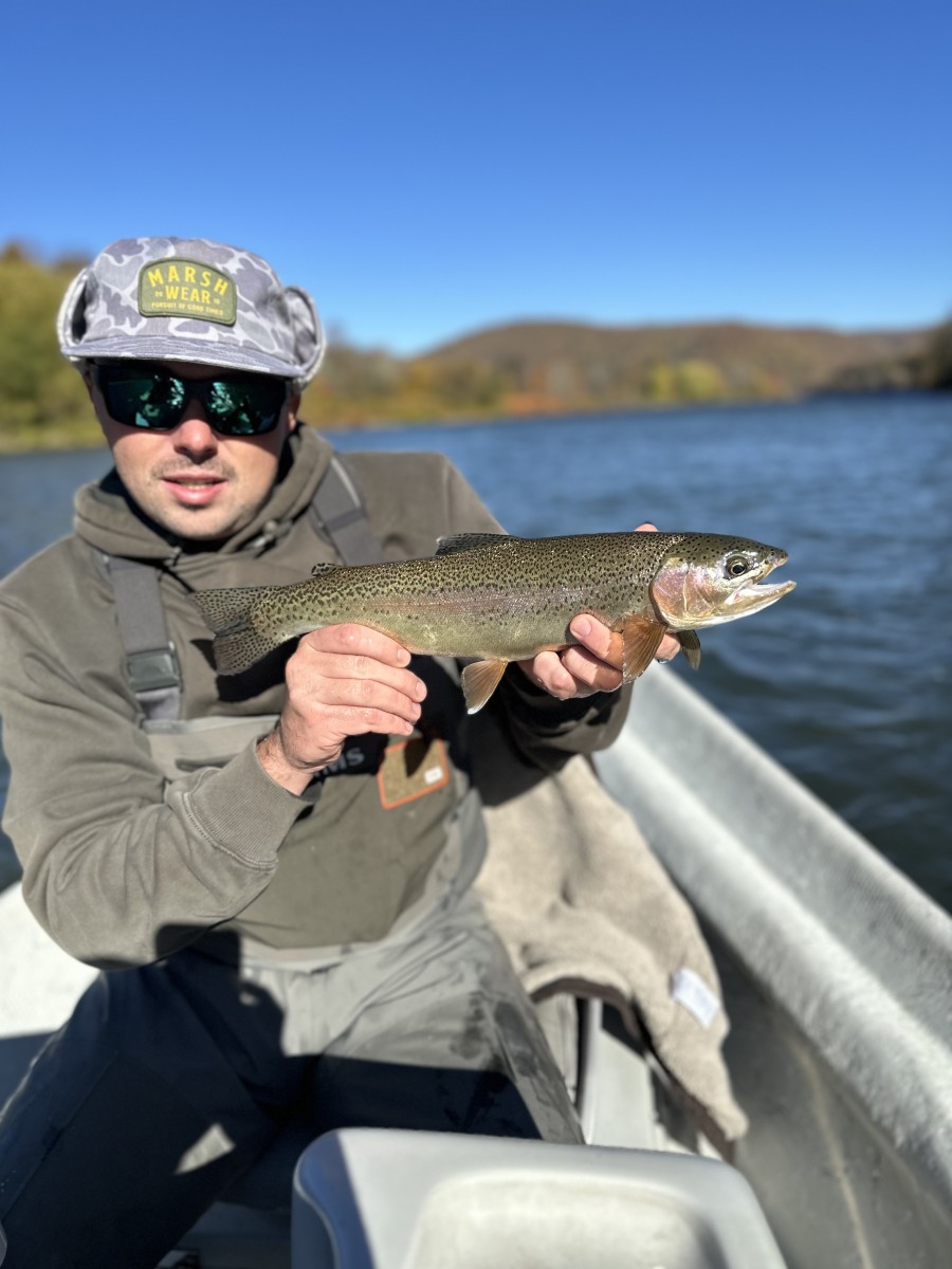 upper delaware river fly fishing