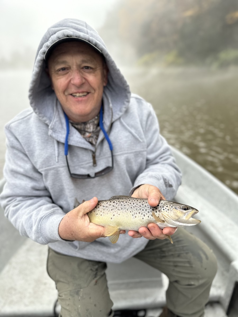 west branch delaware river trout