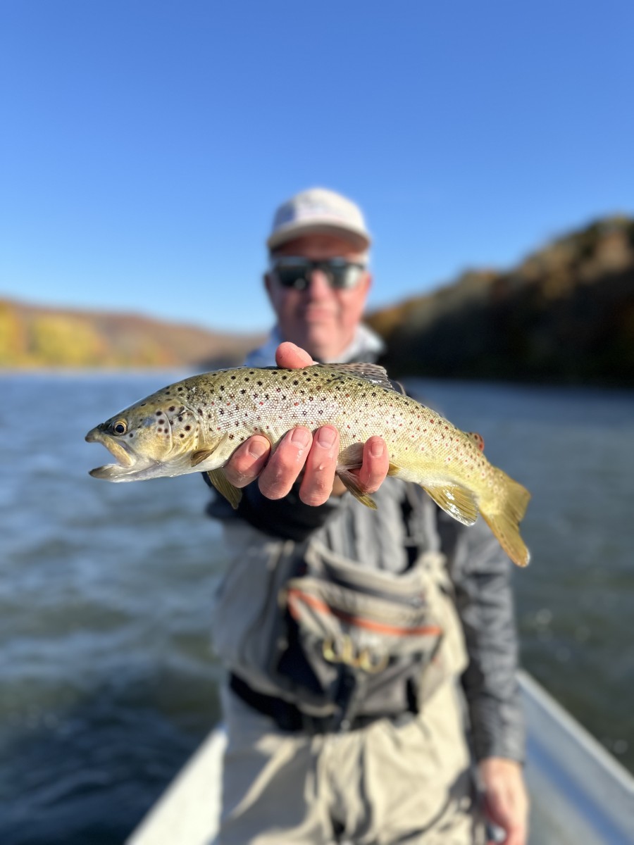 fly fishing west branch delaware river