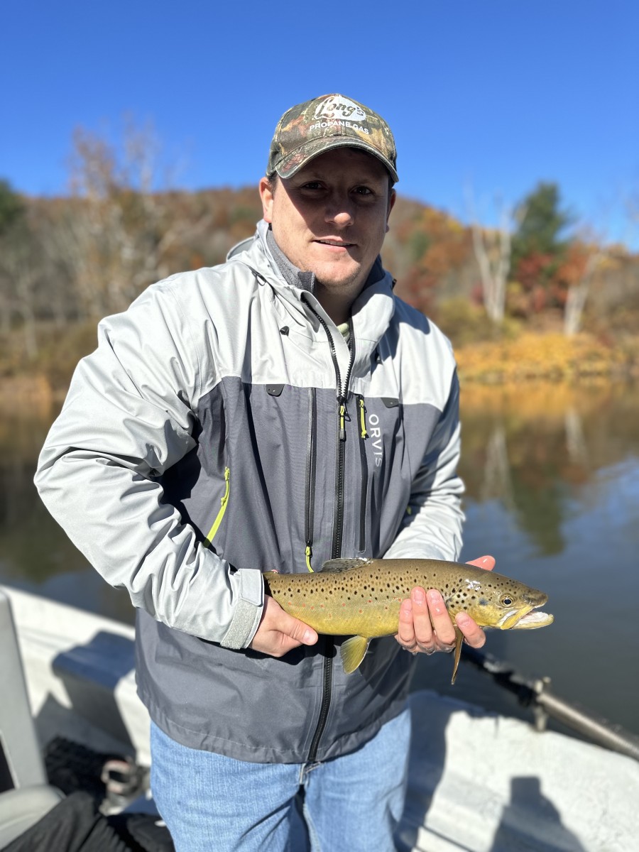 west branch delaware river trout