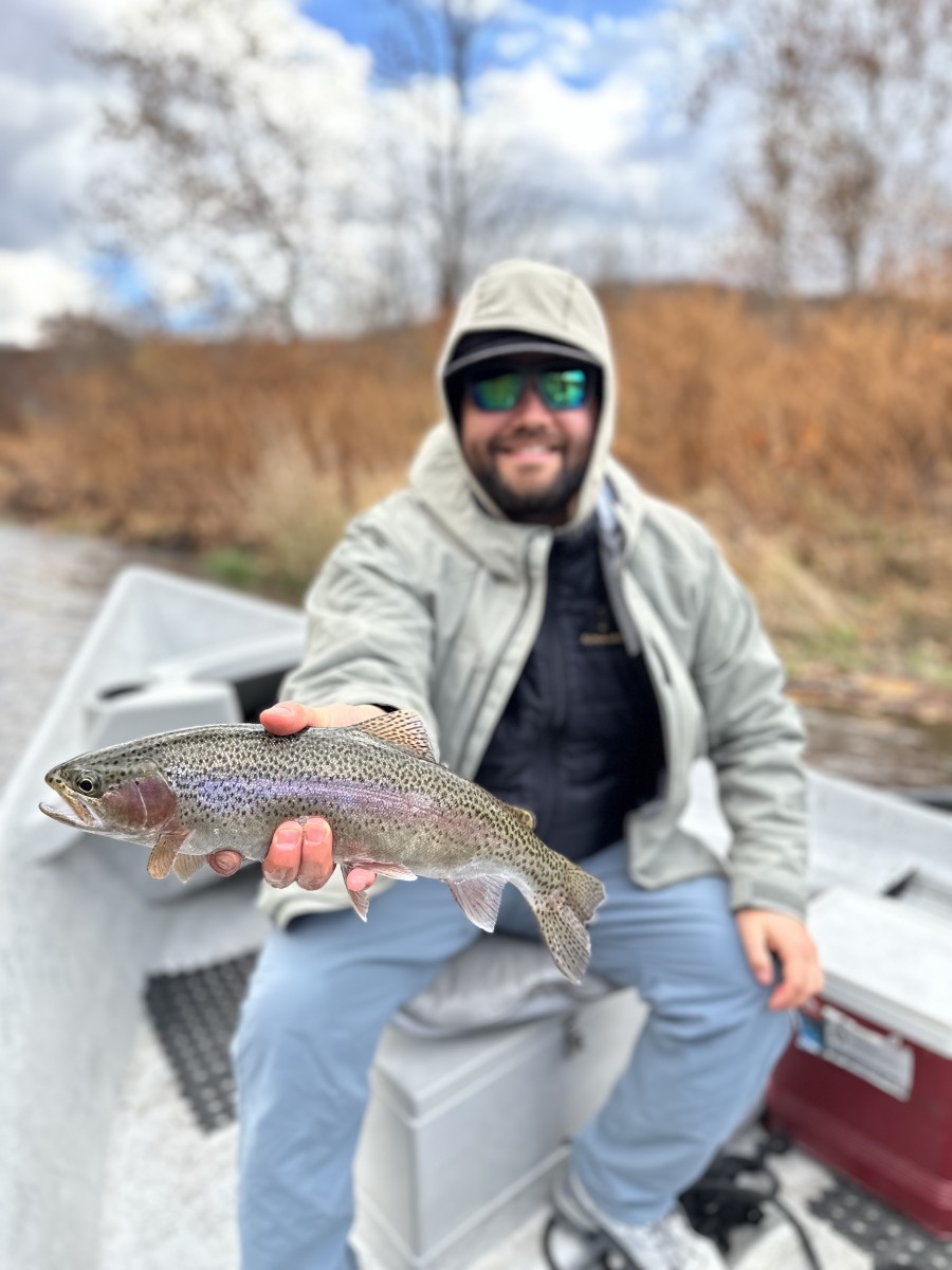 west branch delaware river trout fishing guide