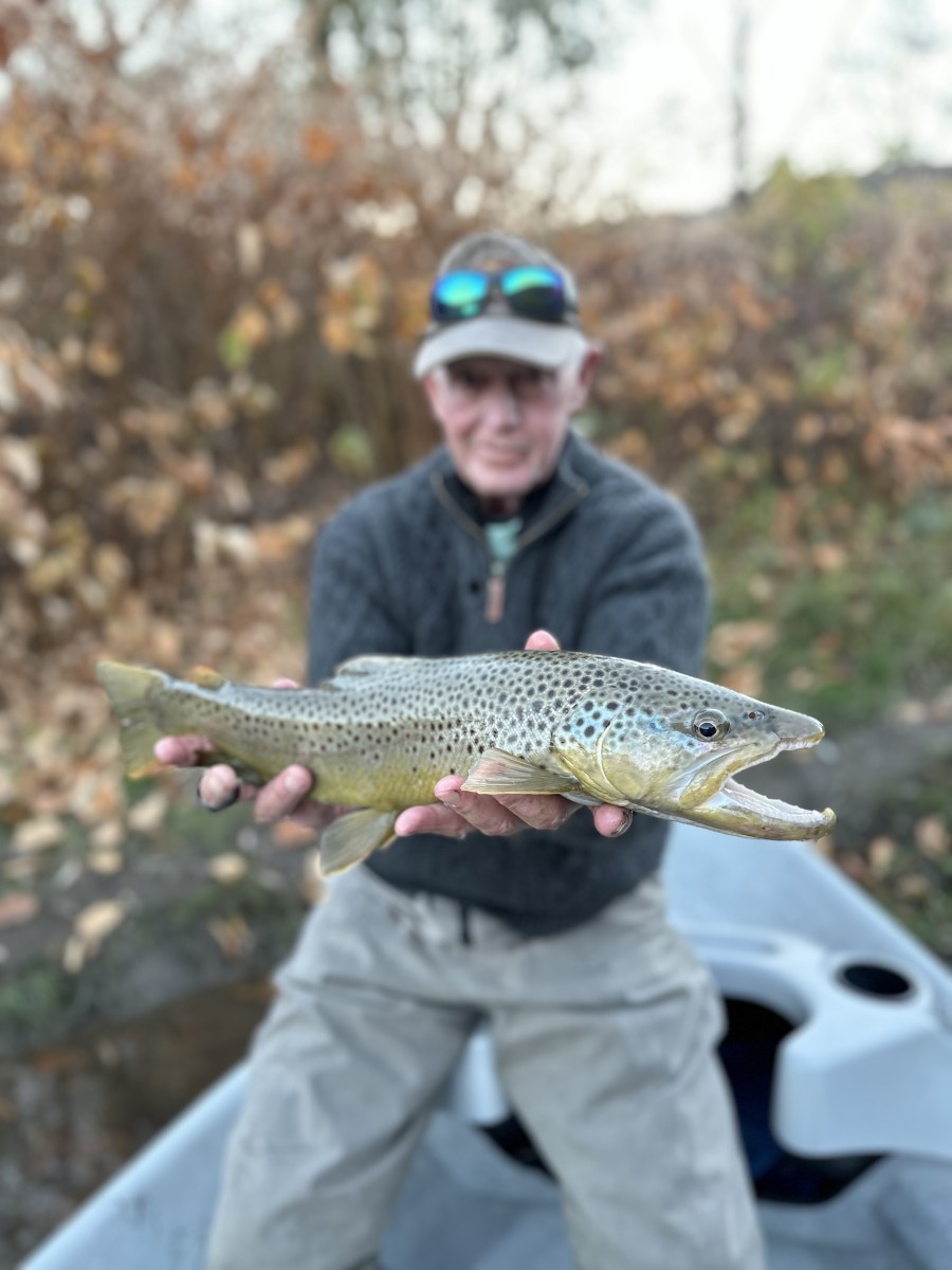 fly fishing west branch delaware river trout