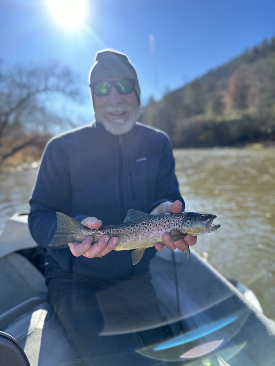 west branch delaware river trout