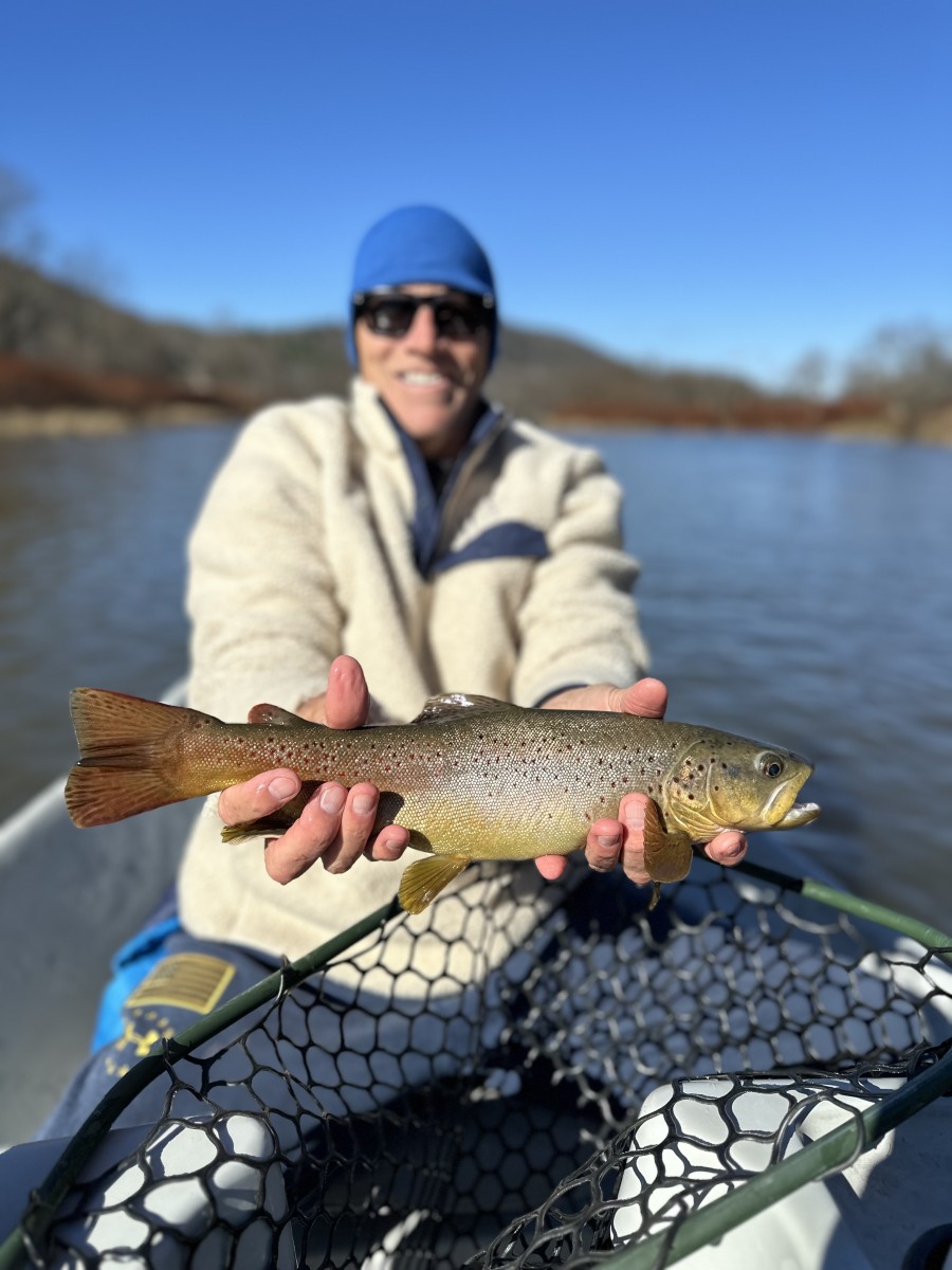 west branch delaware river fly fishing