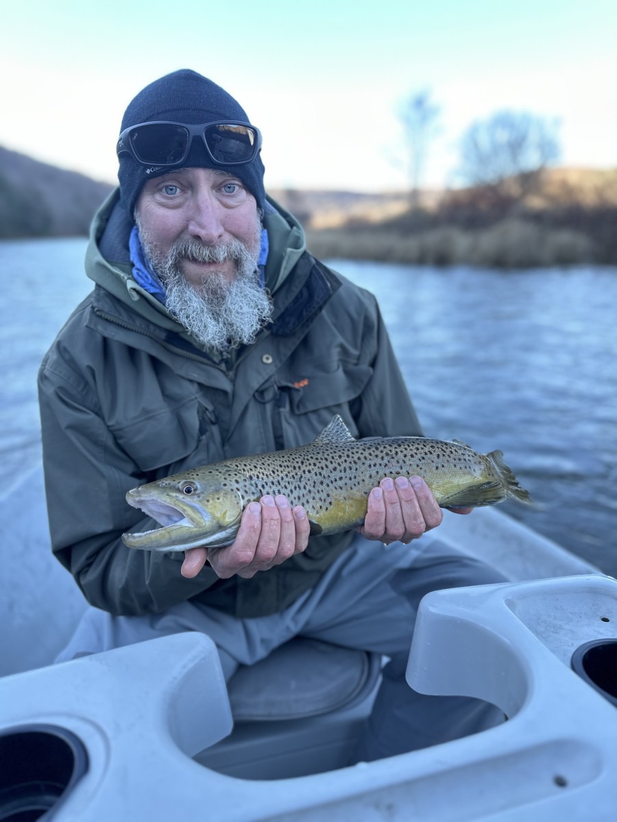 west branch delaware river trout