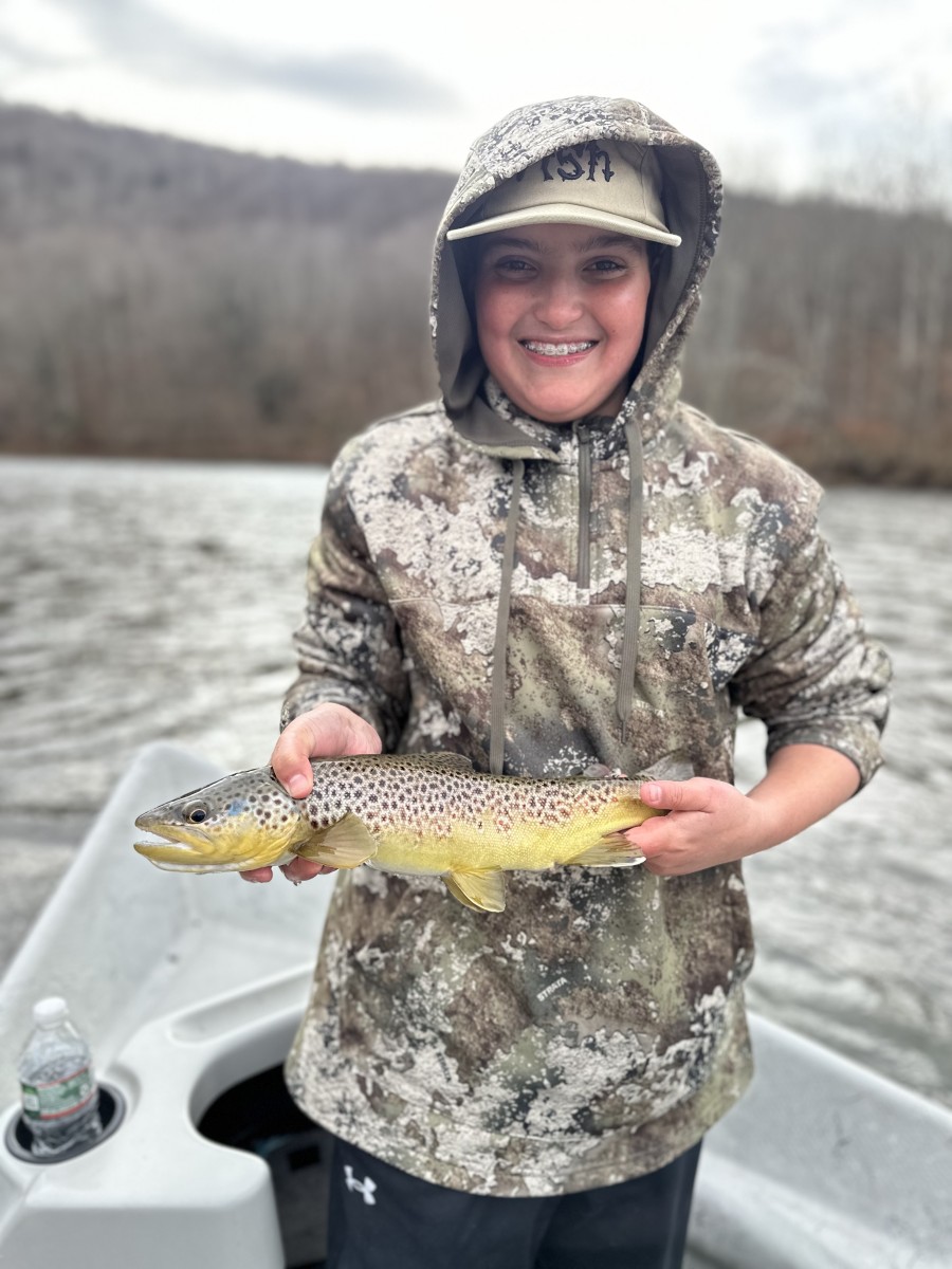 west branch delaware river trout