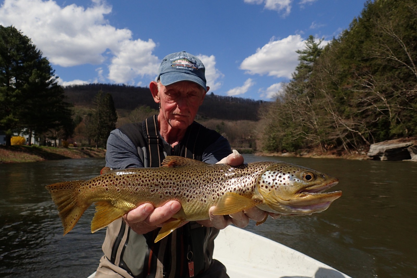 guided fly fishing delaware river pennsylvania big brown trout filingo fly fishing