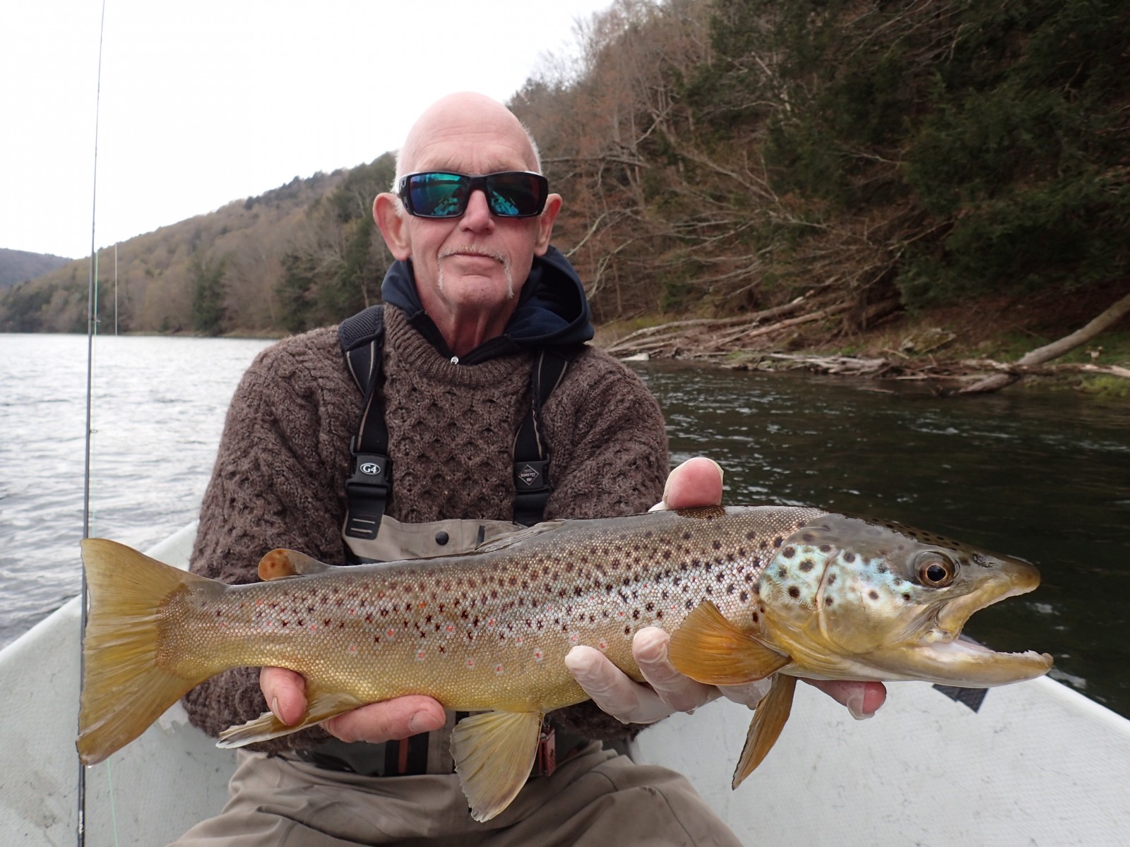 upper delaware river guided fly fishing big brown trout filingo fly fishing 