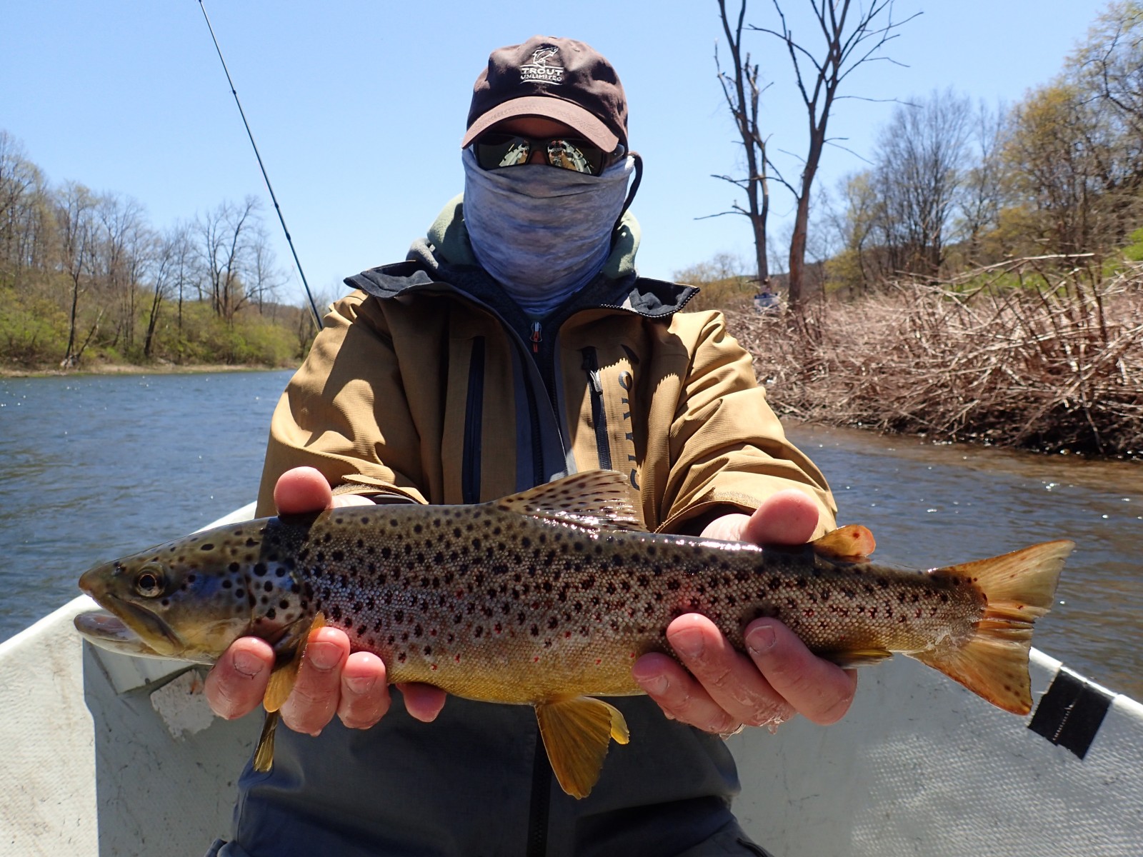 guided fly fishing pennsylvania and new york delaware river for wild brown trout filingo fly fishing