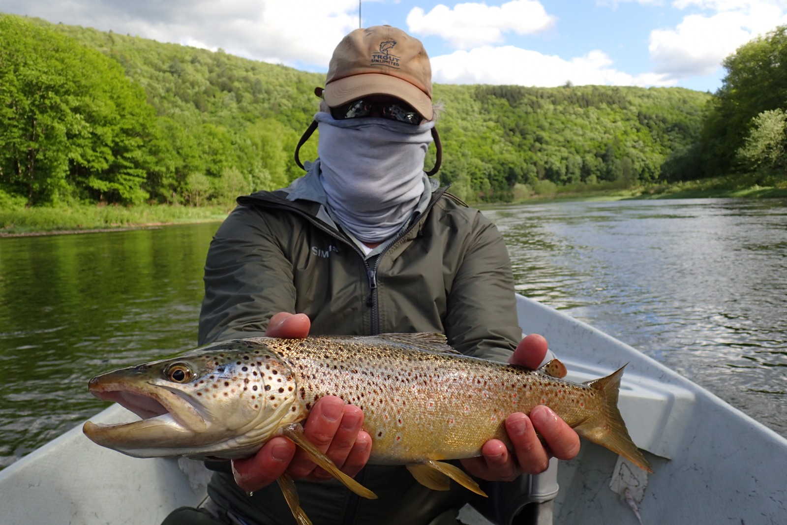 upper delaware river guided fly fishing tours for big wild trout with jesse filingo of filingo fly fishing