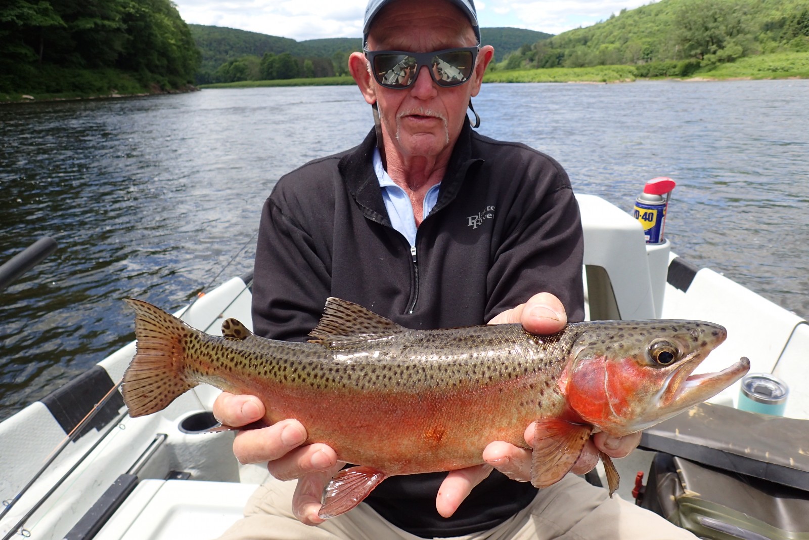 guided fly fishing for big trout new yorks upper delaware river and pennsylvania pocono mountains with filingo fly fishing