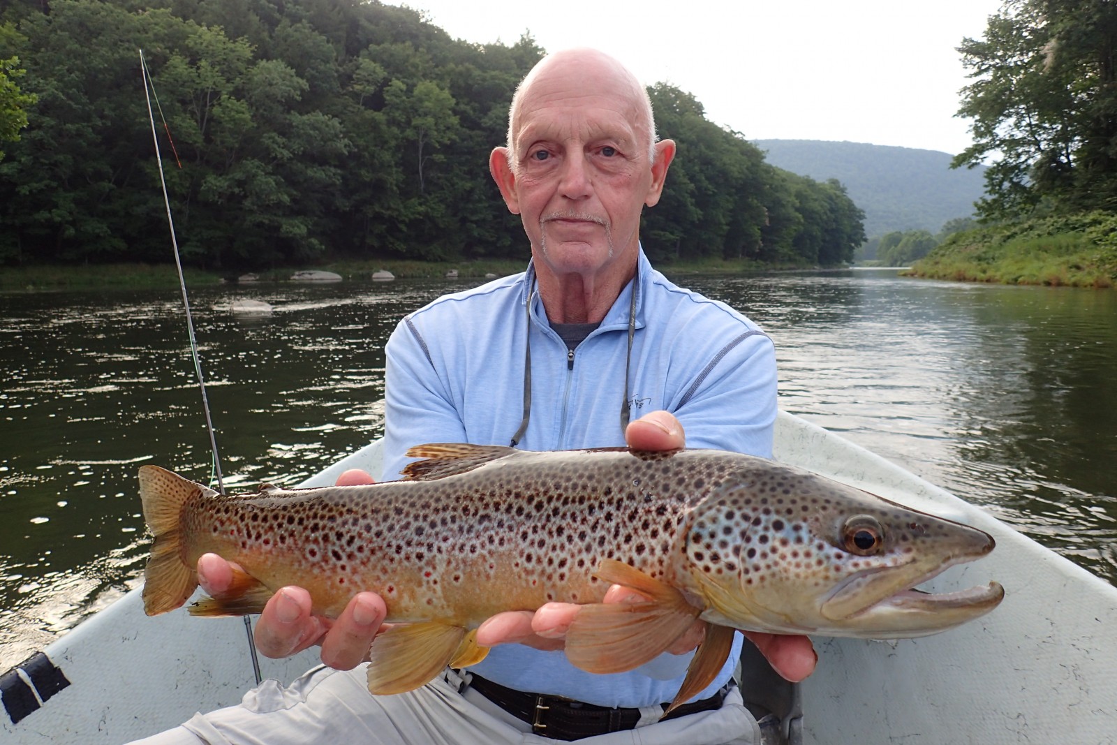 guided fly fishing new york west branch delaware river with jesse filingo big brown trout