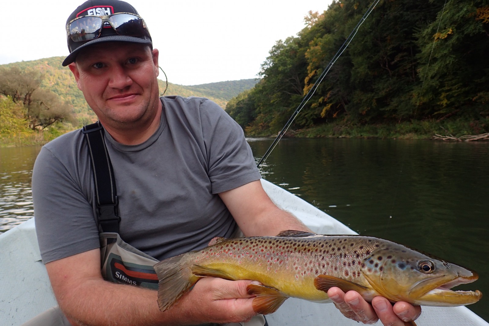 guided fly fishing west branch delaware river new york and pennsylvania big brown trout filingo fly fishing