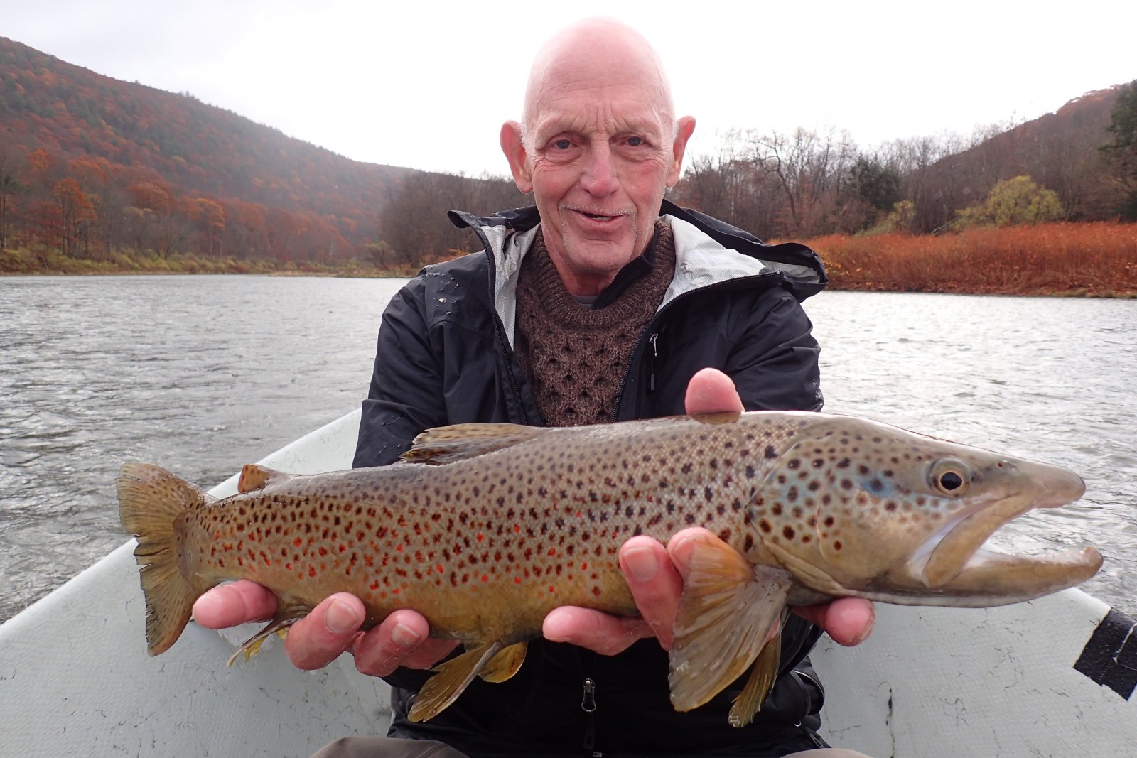 guided fly fishing west branch delaware river new york and pennsylvania upper delaware river trout jesse filingo